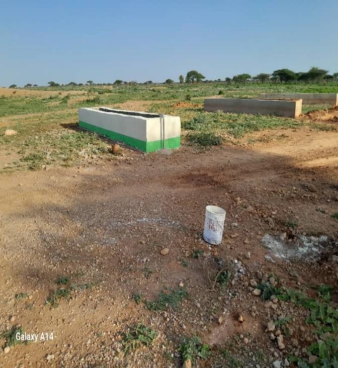 Animal Troughs Construction